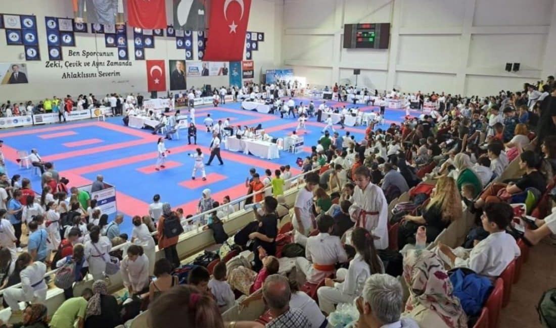 Gemlik Belediyesi, Gençlik ve Spor Bakanlığı, Türkiye Karate Federasyonu, Gemlik