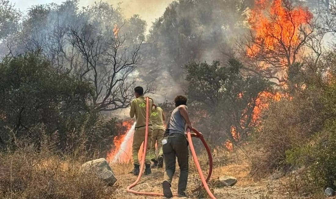 Hatay Tabiatı Koruma Derneği, Antakya Karaali'de başlayan ve kısa sürede