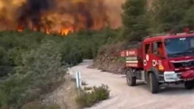Hatay’ın Dörtyol ilçesine bağlı Çökek Yaylası Kırmızıburun mevkisinde 4 Haziran’da