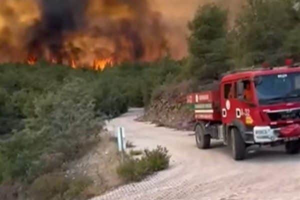 Hatay’ın Dörtyol ilçesine bağlı Çökek Yaylası Kırmızıburun mevkisinde 4 Haziran’da