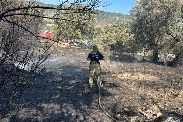 İtfaiye Dairesi Başkanlığı başta olmak üzere, Yol Bakım ve Altyapı