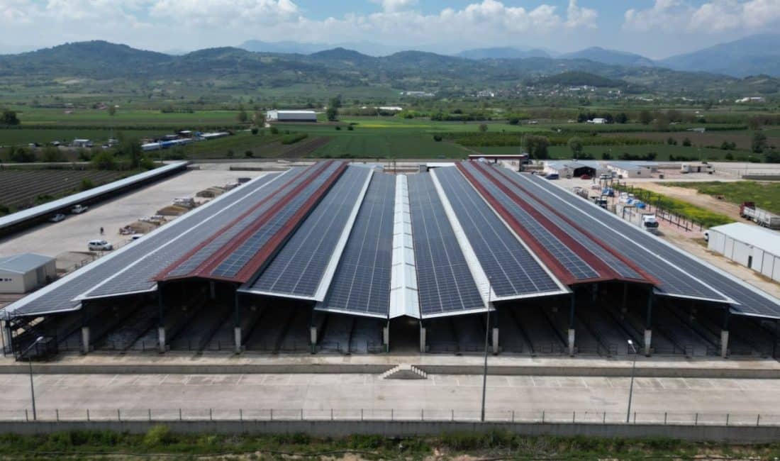 Daha önce Soğuk Hava Deposunda uygulanan Güneş Enerji Sistemi projesi