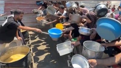 Ordu, Pazar gününden itibaren bir sonraki duyuruya kadar her gün