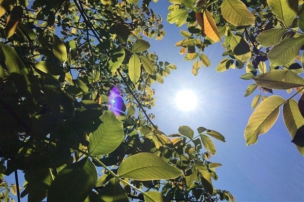 İstanbul Valiliği, bölgede mevsim normalleri civarında seyreden hava sıcaklıklarının, 5