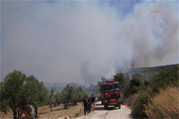 Çeşme ilçesi Ildır Mahallesi’nde saat 14.00’te otluk alanda çıkan yangına