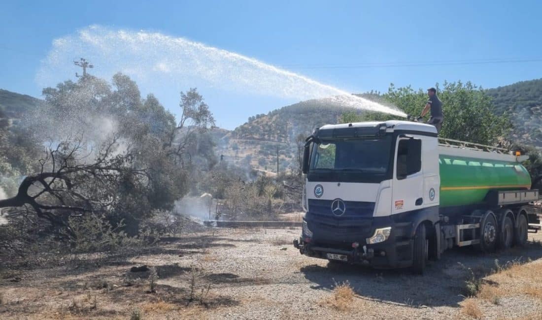 Hava sıcaklıklarının hızla yükselmesi ve kuvvetli rüzgârın etkisiyle büyüyen yangınlara