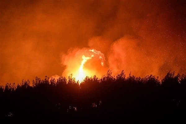 İzmir Büyükşehir Belediyesi İtfaiye Dairesi Başkanlığı ekiplerinin, orman yangınları ile