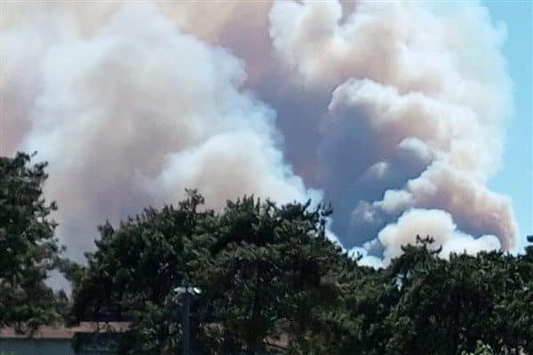 Orman Genel Müdürlüğü’nden yapılan açıklamada İzmir’in Urla ilçesinde başlayan orman