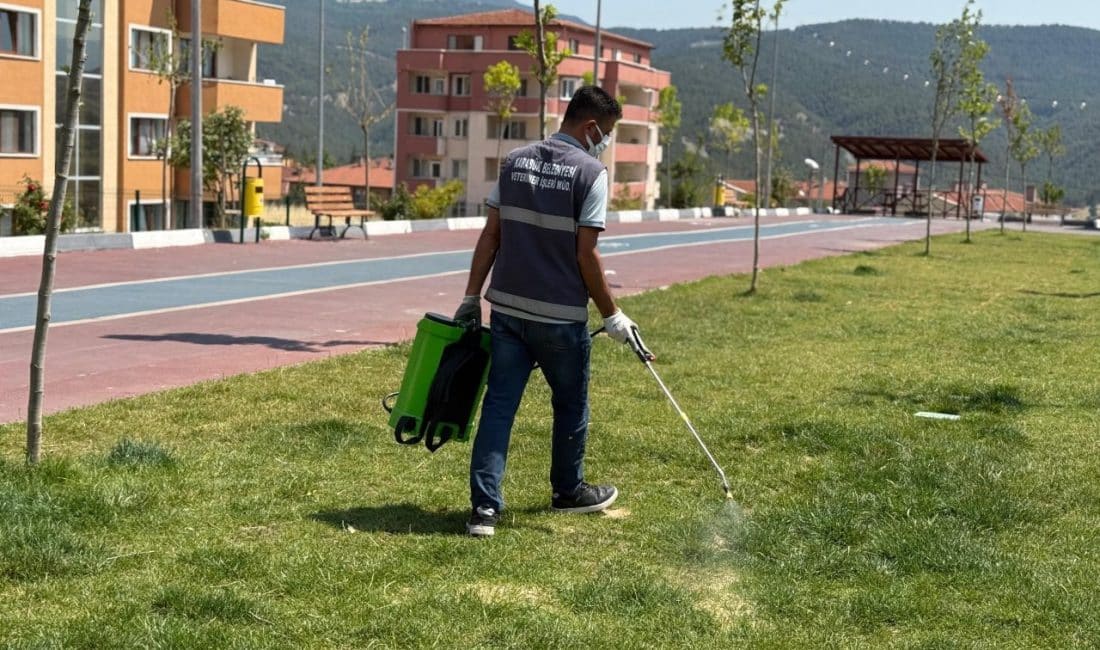 Akşam saatlerinde yoğunlaştırılan ilaçlama faaliyetleriyle, vatandaşların yaz döneminde açık alanlarda
