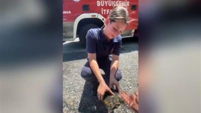 İtfaiye ekipleri, Reşadiye Mahallesi’nde meydana gelen yangını kısa sürede kontrol