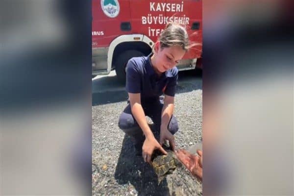 İtfaiye ekipleri, Reşadiye Mahallesi’nde meydana gelen yangını kısa sürede kontrol