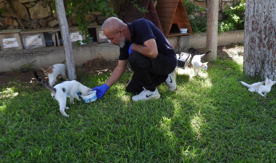 Kepez Belediyesi Veterinerlik İşleri Müdürlüğü ekipleri, sıcak havalarda zorlu koşullarla