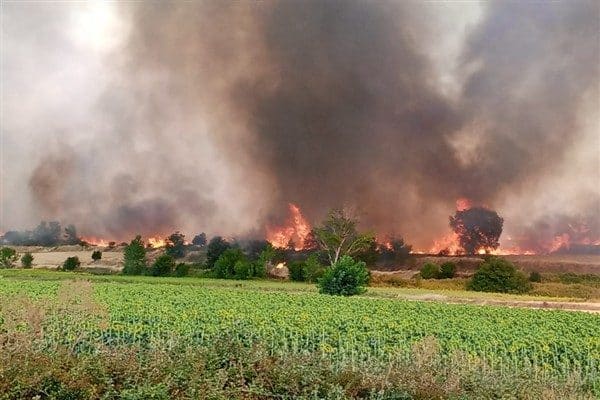 Keşan Kaymakamı Aziz Mercan, ilçede çıkan yangına ilişkin bilgi verdi. 