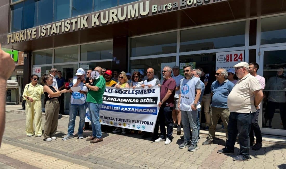 Kamu Emekçileri Sendikaları Konfederasyonu (KESK) üyesi emekçiler, Türkiye İstatistik Kurumu