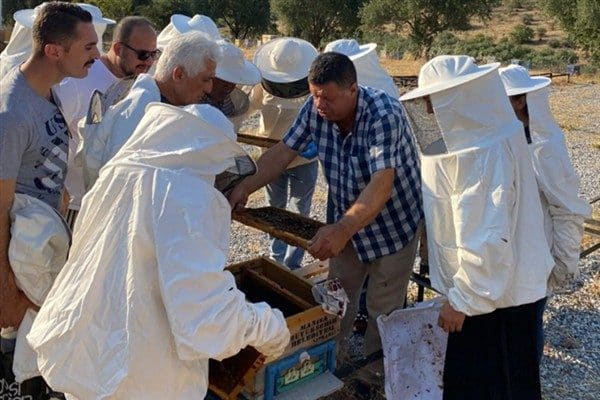Salihli Halk Eğitim Merkezi’nde temel arıcılık eğitimi alan 17 kursiyer,