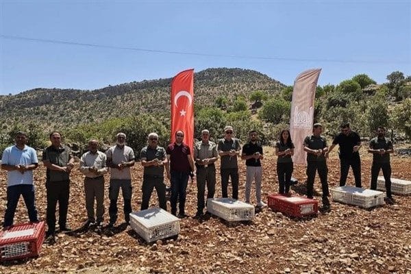 Tarımsal Hizmetler Daire Başkanlığı öncülüğünde yürütülen çalışma kapsamında, doğaya 300