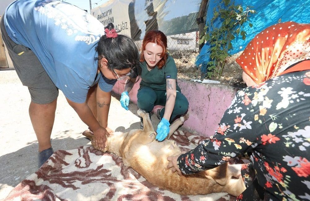 Menderes’in Kısık Mahallesi’nde çıkan yangınlarda hayvanlar için teyakkuza geçen Menderes