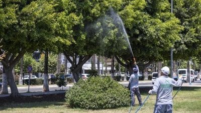 Özellikle yaz aylarının gelmesiyle birlikte haşere ile mücadele daha da