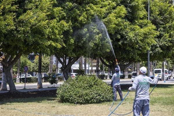 Özellikle yaz aylarının gelmesiyle birlikte haşere ile mücadele daha da