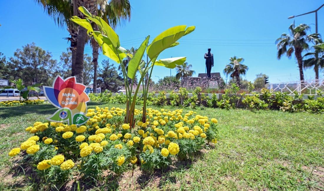 Mersin Büyükşehir Belediyesi, Park ve Bahçeler Dairesi Başkanlığı koordinesinde kent