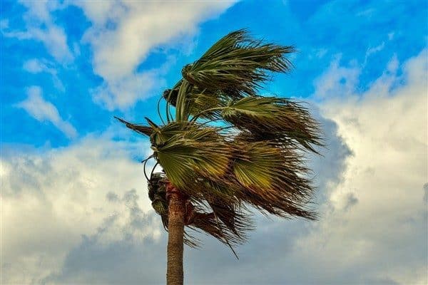 MGM’den yapılan açıklamaya göre, ülke genelinde mevsim normalleri üzerinde seyretmesi
