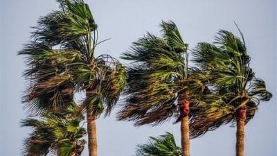 Meteoroloji Genel Müdürlüğü (MGM), hava sıcaklığının Kuzeybatı kesimlerde mevsim normalleri civarında,