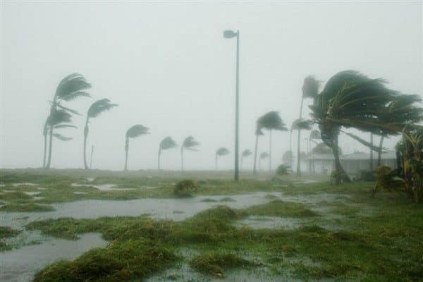 Meteoroloji Genel Müdürlüğü (MGM), hava sıcaklığının Türkiye genelinde 2 ila 5