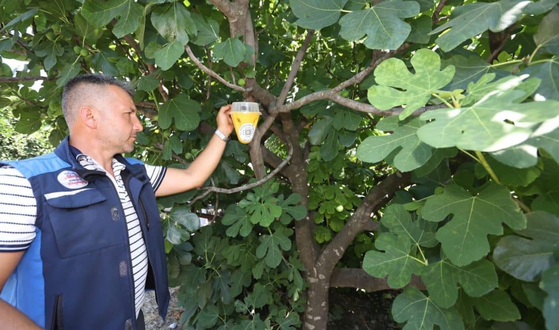 Muğla Büyükşehir Belediyesi, tarımsal üretimi desteklemek, ihracatta yaşanan kalıntı sorunlarının