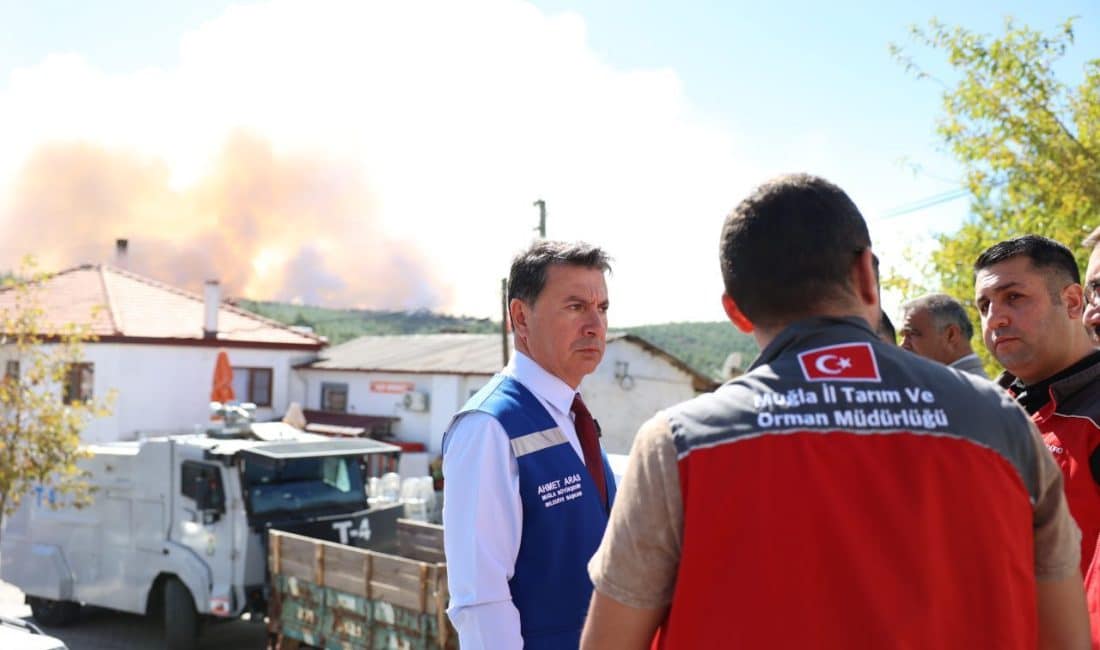 İzmir, Hatay, Antalya, Sakarya, Bursa, Mersin, Uşak gibi ülkenin farklı