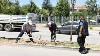 Zamanla verimsiz hale gelen orta refüjdeki toprak tamamen yenilenirken, alanın