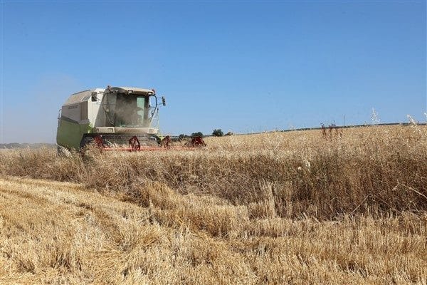 Nilüfer Belediyesi, 2024 yılının sonbaharında kırsal mahallelerindeki arazilerinin bir kısmında