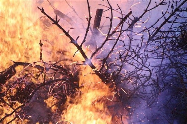 OGM’den yapılan açıklamada İzmir’de sadece yangınla değil, saatte 60 kilometreye