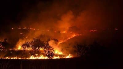 OGM’den yapılan açıklamaya göre, 19-25 Temmuz tarihleri arasında meteorolojik verilere
