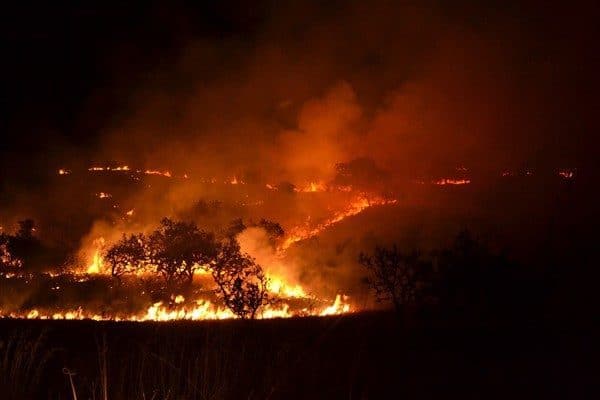 OGM’den yapılan açıklamaya göre, 19-25 Temmuz tarihleri arasında meteorolojik verilere