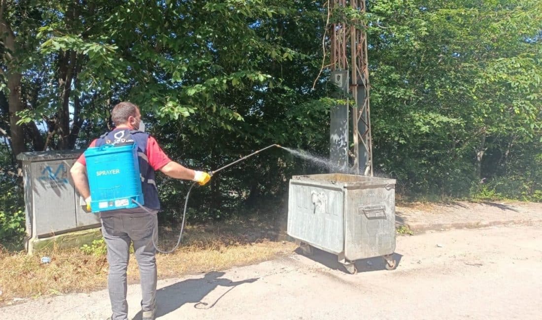 Su birikintileri, kanal kenarları, bataklık alan, bina altı suları, mazgal,