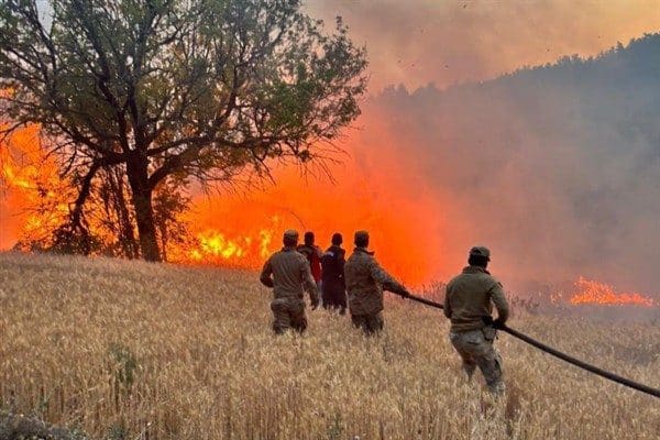 İçişleri Bakanı Yerlikaya, 4-22 Temmuz tarihleri arasında çıkan 61 orman