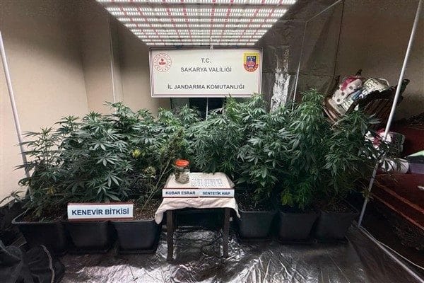 Sakarya İl Jandarma Komutanlığı ekipleri, uyuşturucu suçları ile mücadele kapsamında