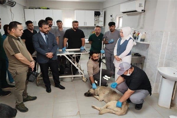 Harran Üniversitesi Veteriner Fakültesi ile Büyükşehir Belediyesine ait Bakımevinde Doğa