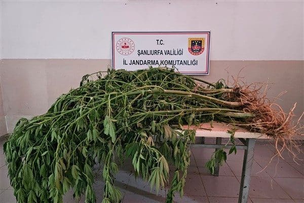 Siverek, Viranşehir ve Haliliye İlçe Jandarma Komutanlıkları ile İstihbarat ve