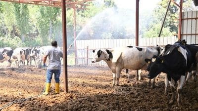 Vatandaşlardan gelen talepler doğrultusunda, Sarıgöl Belediye Başkanı Tahsin Akdeniz’in konuyu