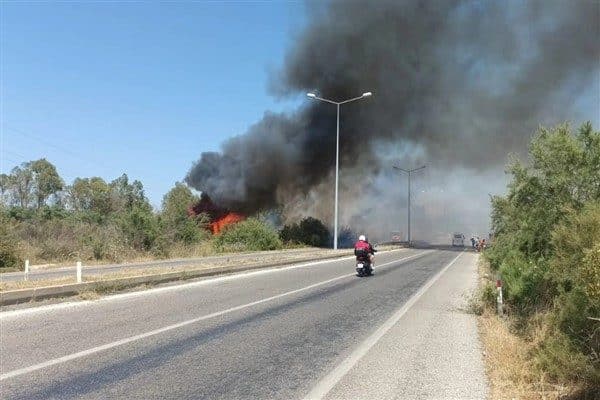 Selçuk-Kuşadası yolu üzerinde, Pamucak kavşağına yakın otluk ve ılgınlık alanda
