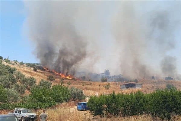 İzmir’in Selçuk ilçesinde, Tavşantepe mevkiinde bulunan zeytinlik alanda saat 12.45