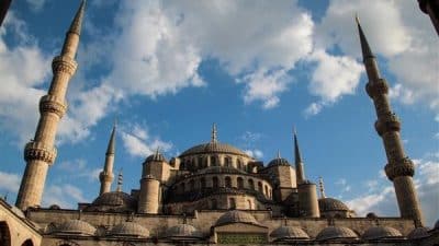 Çalışma ve Sosyal Güvenlik Bakanı Prof Dr. Vedat Işıkhan, Şahin