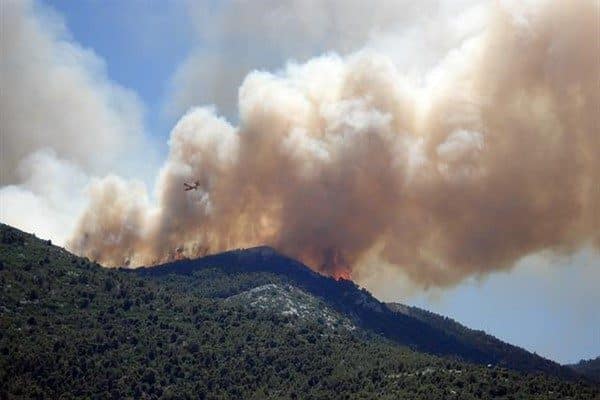 Cumhurbaşkanlığı İletişim Başkanlığı, 1 Ocak 2025’ten bu yana bin 295’i