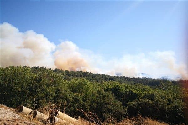 İzmir Büyükşehir Belediyesi İtfaiye Dairesi Başkanlığı ile İzmir Orman Bölge