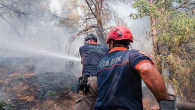 Üsküdar Belediyesi, orman yangınlarına Afet İşleri Müdürlüğü ve Destek Hizmetleri