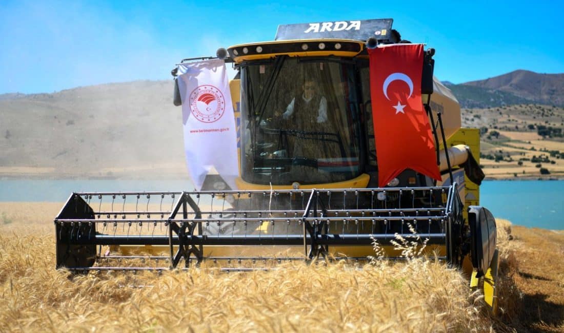 Tunceli Valisi Şefik Aygöl, Akpazar Beldesi’nde gerçekleştirilen buğday hasadına katılarak