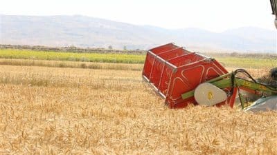 Antalya Büyükşehir Belediyesi’nin kurak tarım arazilerinde üretimi yeniden canlandırmak ve