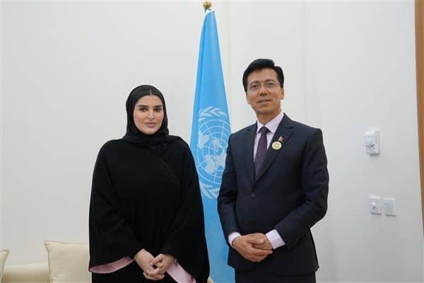 Al Misnad, Birleşmiş Milletler Ekonomik ve Sosyal Konseyi (ECOSOC) Başkanı