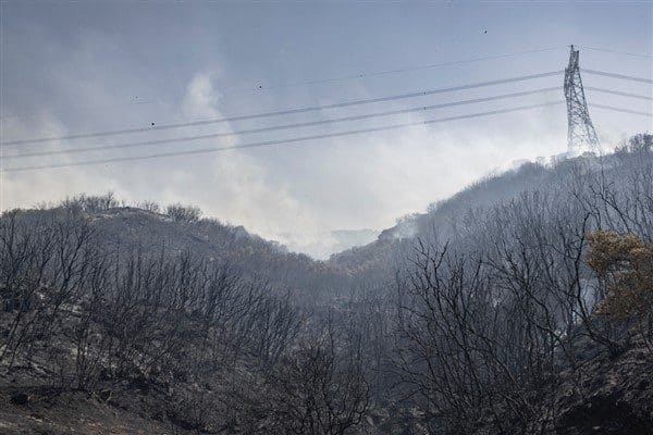 İzmir’in Aliağa ilçesine bağlı Çıtak Mahallesi ile Menderes ilçesinde öğle